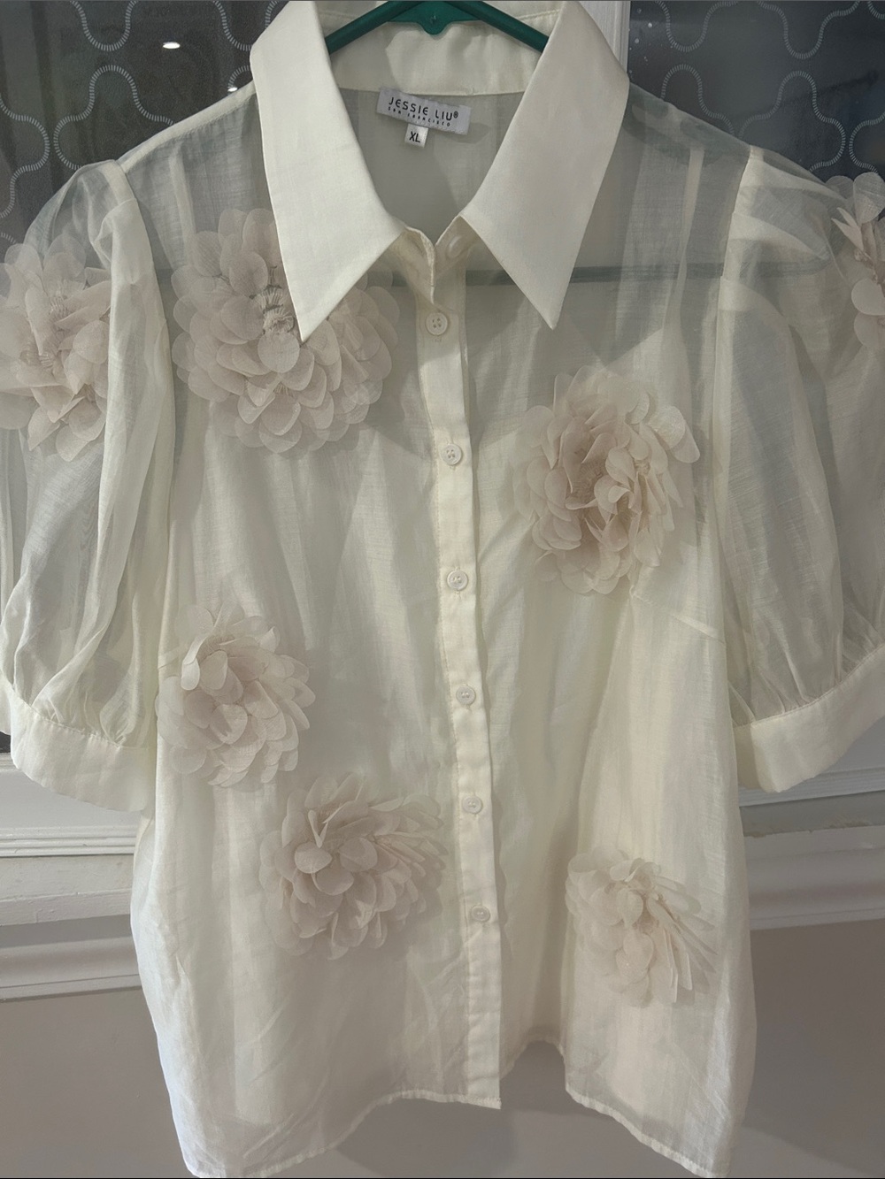 Jessie Liu Cream Sheer Floral Applique Button-Up Blouse